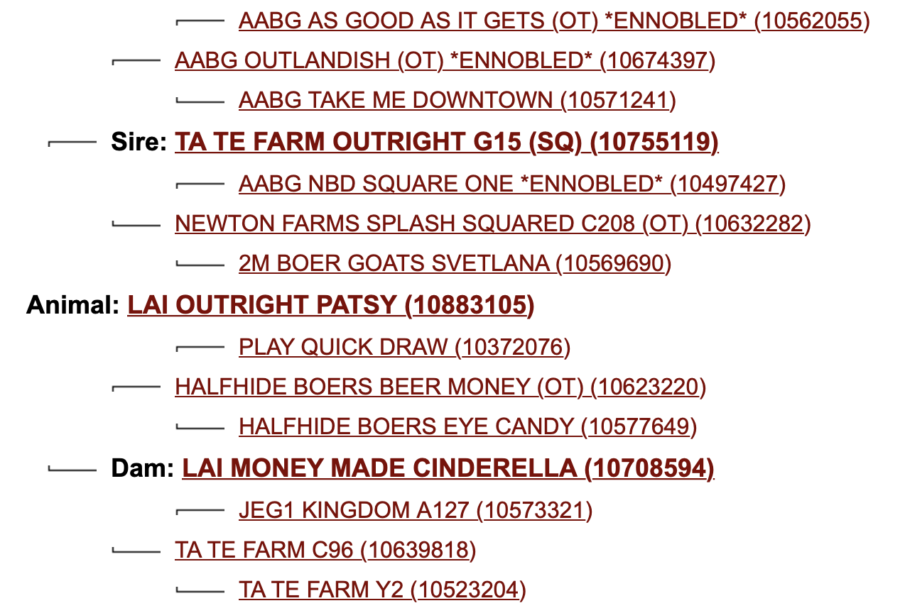 Screen Shot 2023-07-03 at 10.44.05 AM