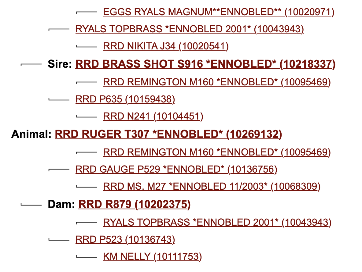 Screen Shot 2023-07-31 at 2.26.09 PM