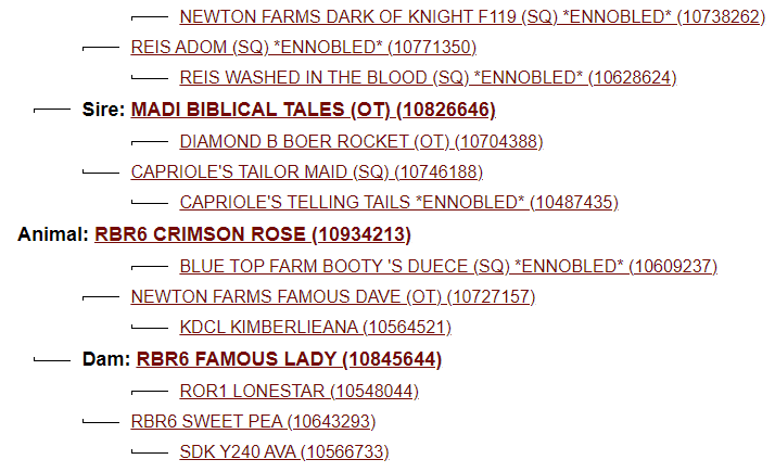 Screenshot 2023-07-20 104229