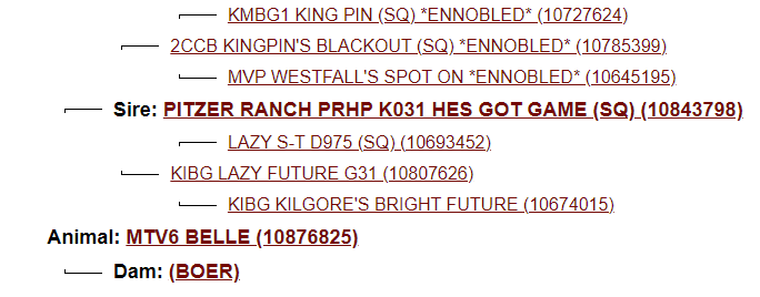 Screenshot 2023-07-20 155038