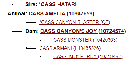 Screenshot 2023-07-21 122254