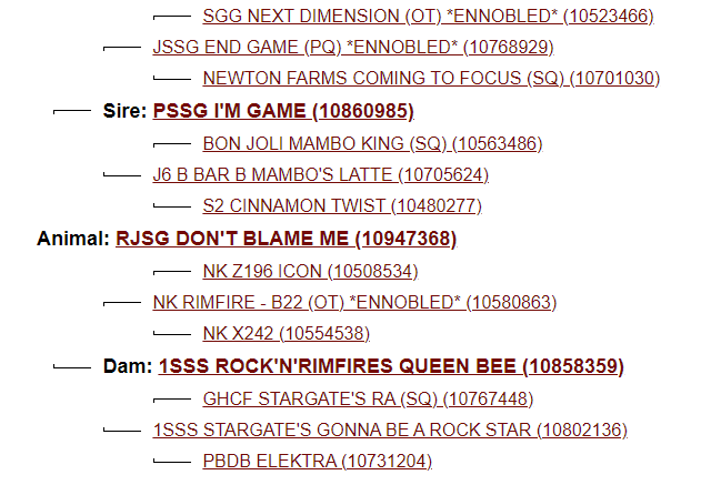 Screenshot 2023-07-25 125540