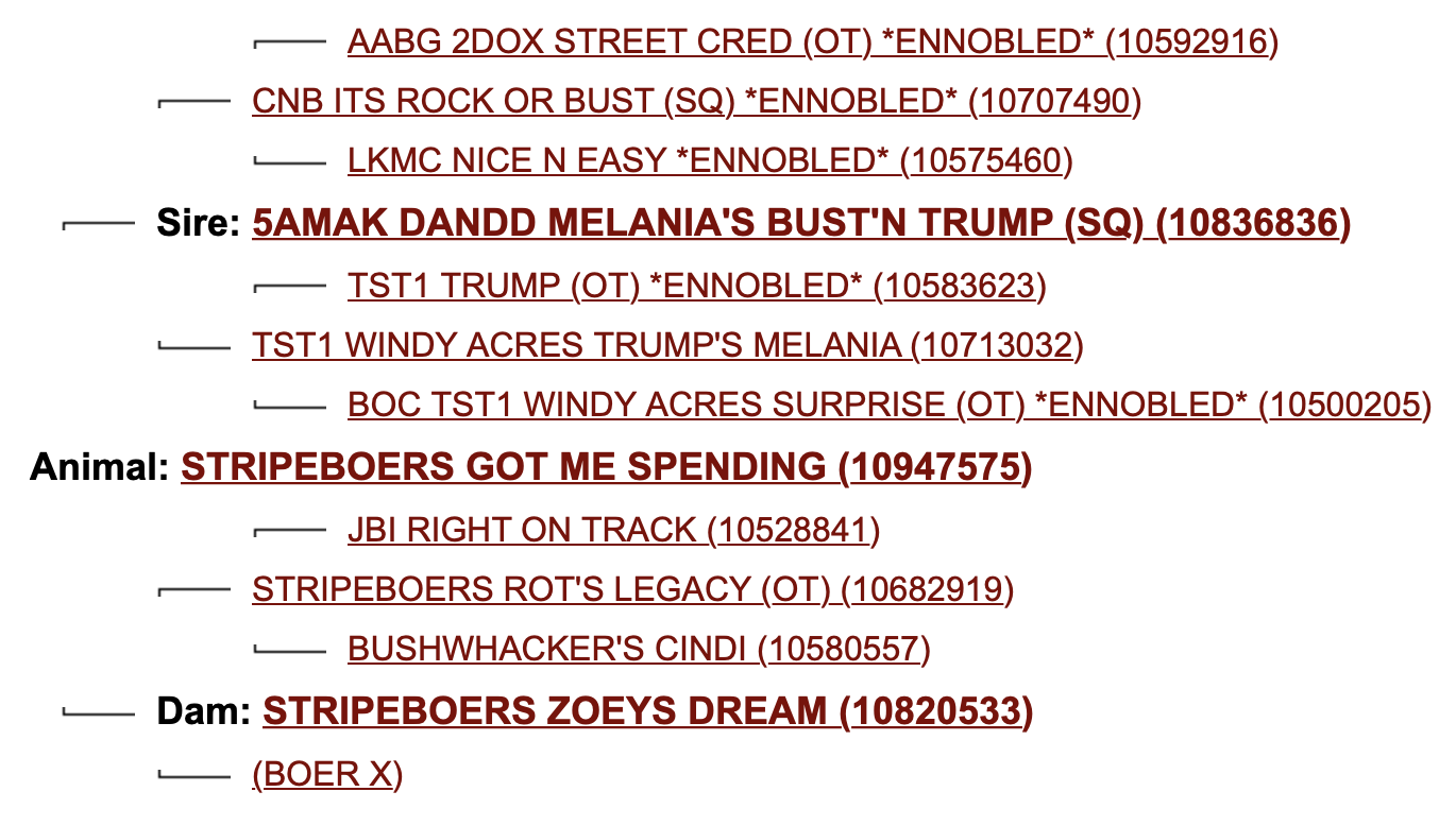 Screenshot 2023-07-29 at 11.21.53 PM