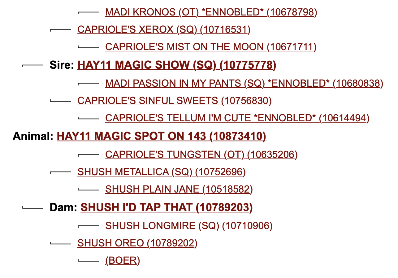 Screen Shot 2023-08-14 at 1.27.57 PM