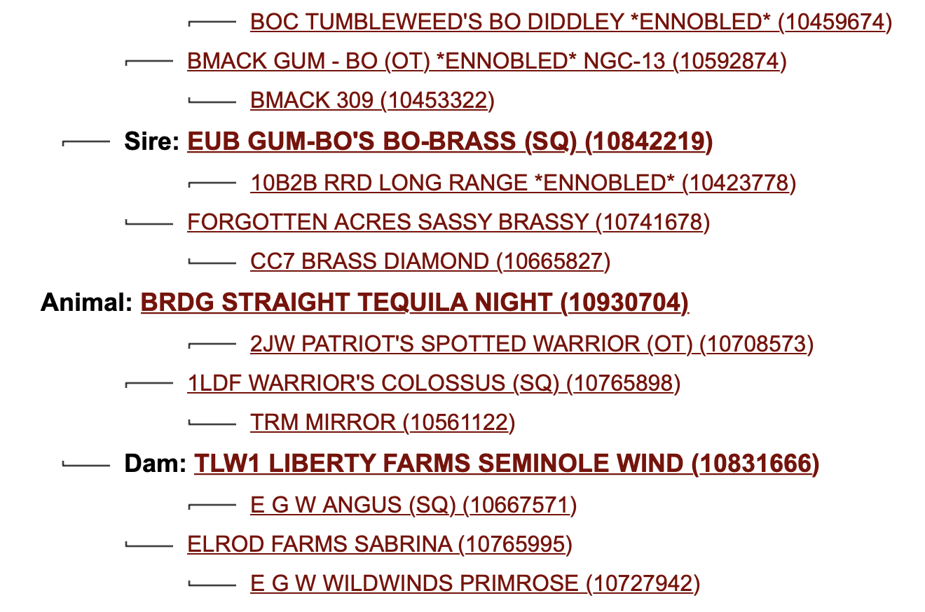 Screen Shot 2023-08-17 at 5.06.53 PM