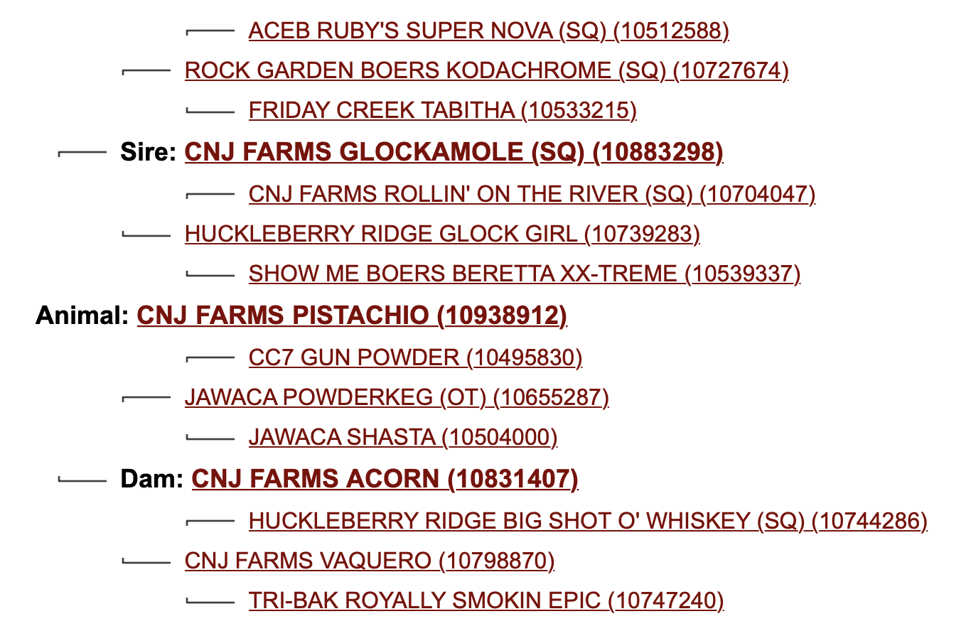 Screen Shot 2023-08-21 at 6.42.35 PM