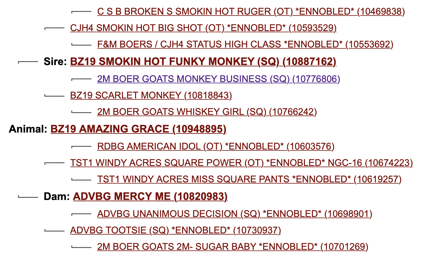 Screen Shot 2023-08-21 at 9.20.39 AM