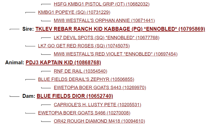 Screenshot 2023-08-09 075832