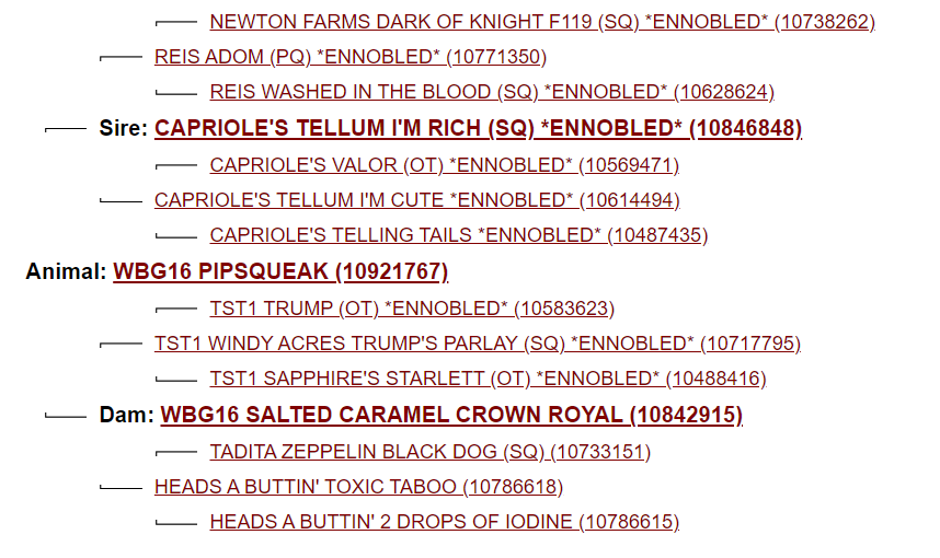 Screenshot 2023-08-09 080315