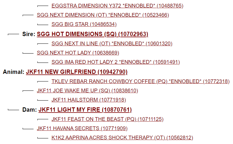 Screenshot 2023-08-10 211419