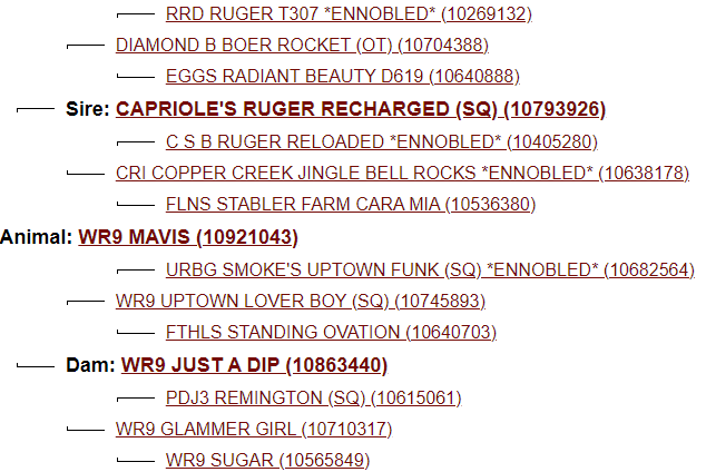 Screenshot 2023-08-16 172227