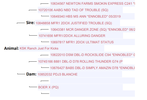 Screenshot 2023-08-23 163652