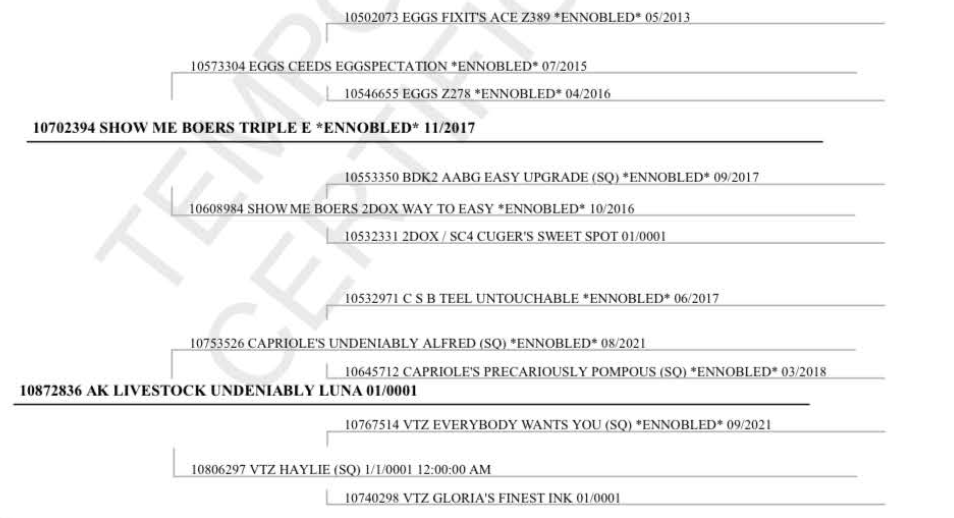 Screenshot 2023-08-23 164032