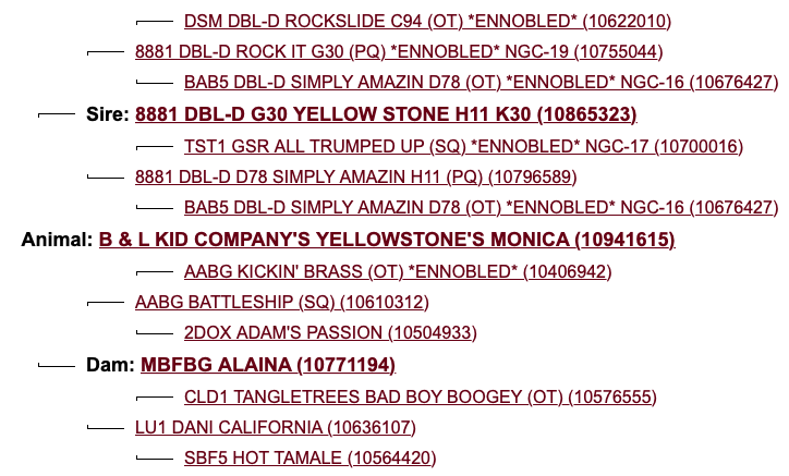 Screenshot 2023-08-28 at 6.43.09 PM