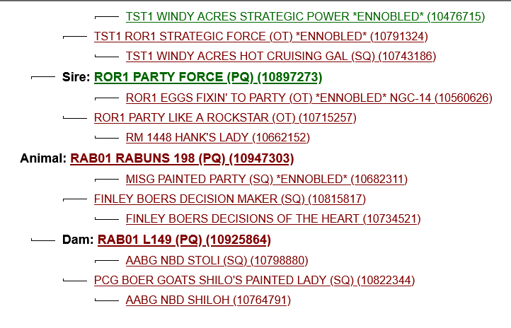 Screenshot 2023-09-14 at 20-25-04 ABGA Animal Details RAB01 RABUNS 198 (PQ) (10947303)