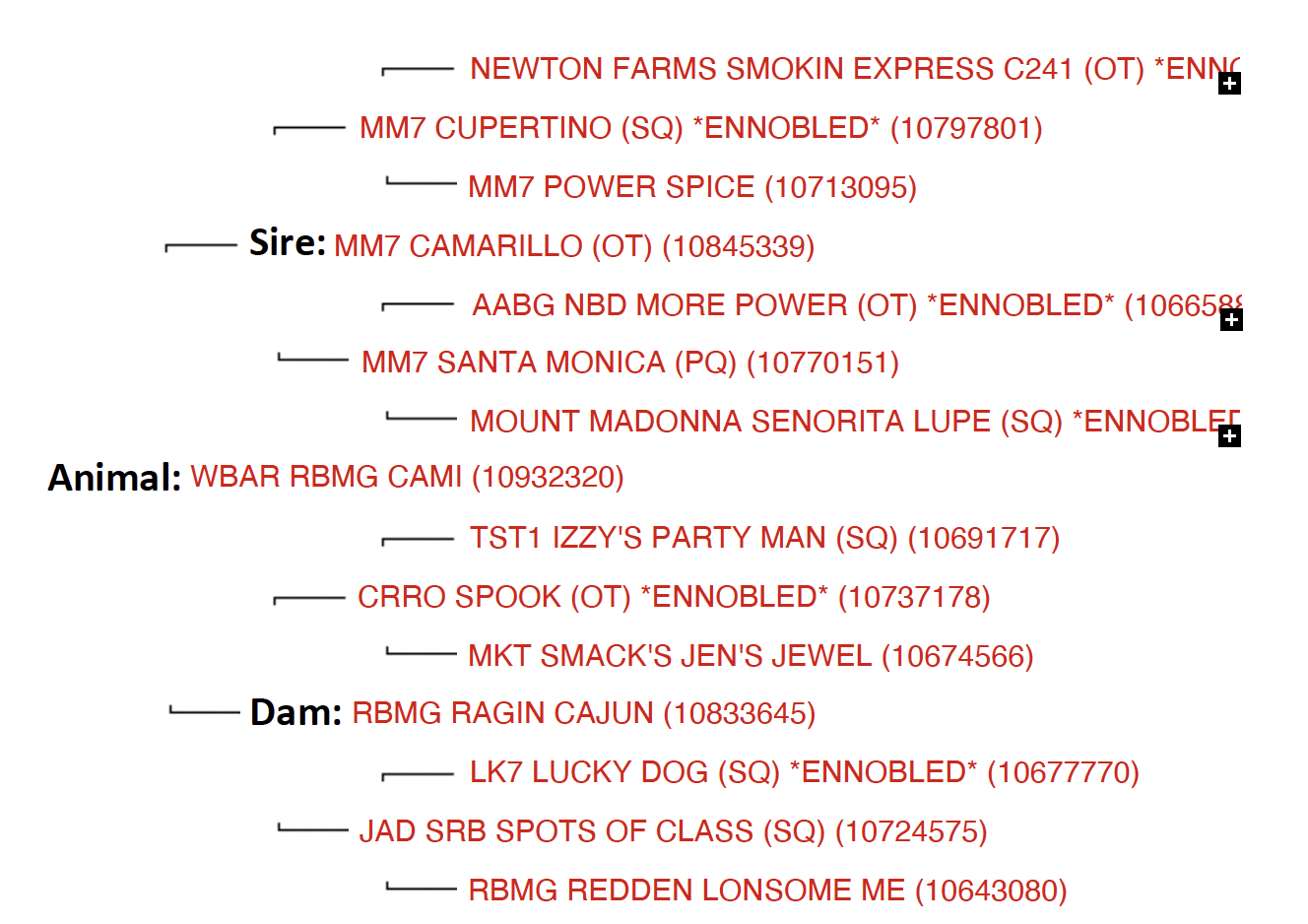 Screenshot 2023-09-19 at 6.30.32 PM