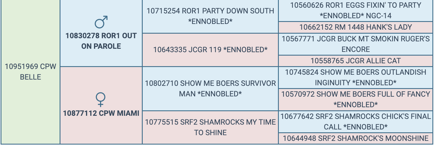 Screenshot 2024-03-06 at 8.45.19 PM