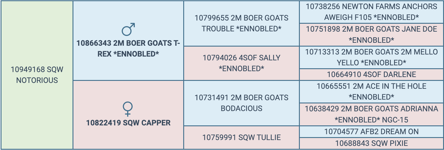 Screenshot 2024-03-06 at 8.51.56 PM