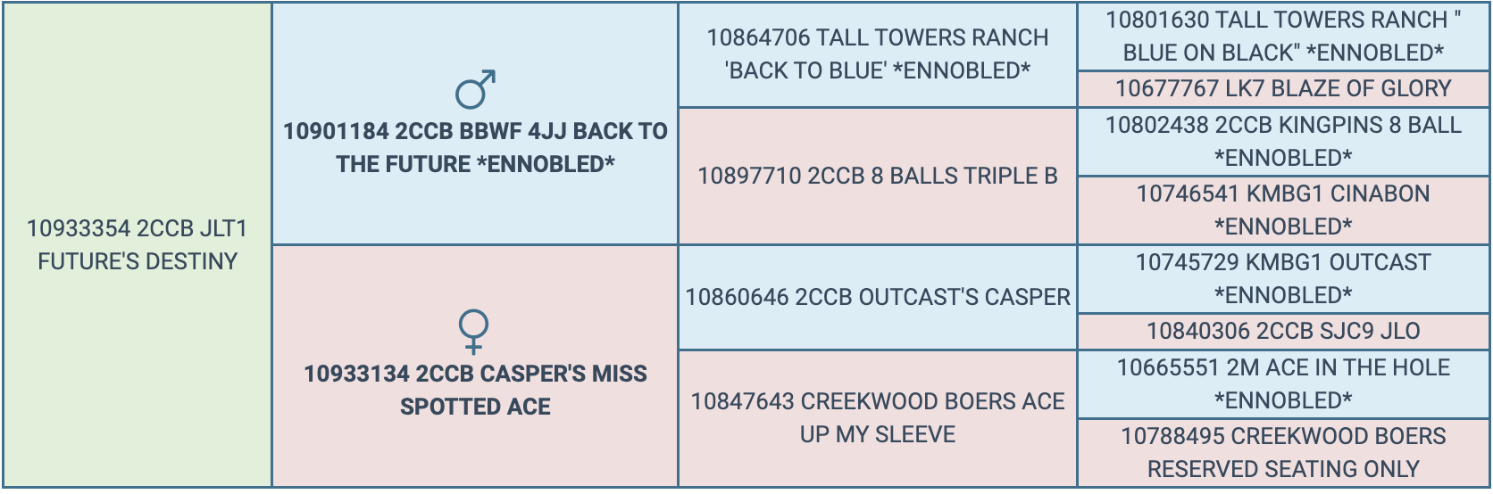 Screenshot 2024-03-06 at 8.58.24 PM