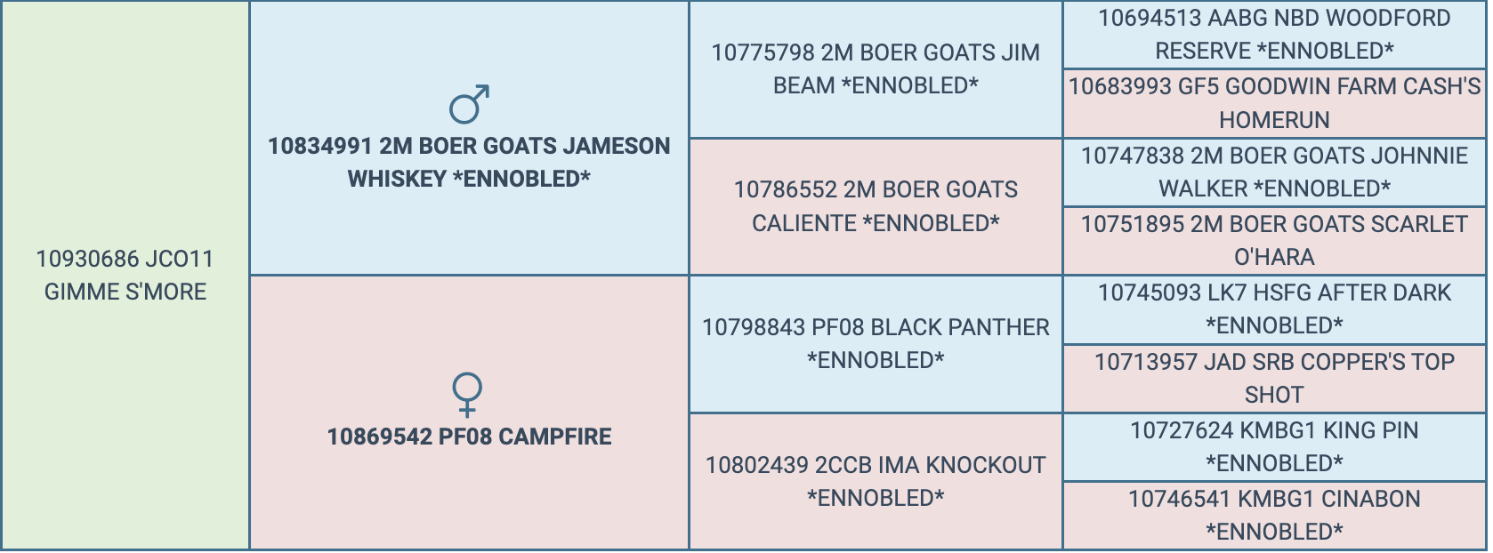 Screenshot 2024-03-06 at 9.05.06 PM