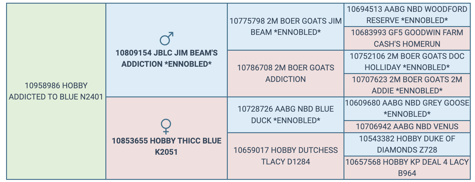 Screenshot 2024-03-06 at 9.46.12 PM