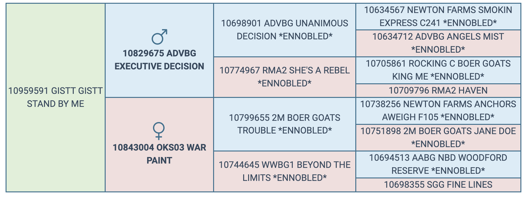 Screenshot 2024-03-08 at 7.42.27 PM