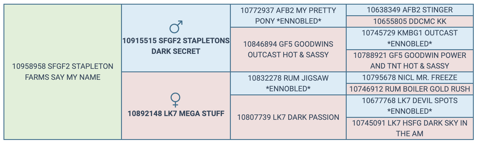 Screenshot 2024-03-09 at 3.59.33 PM