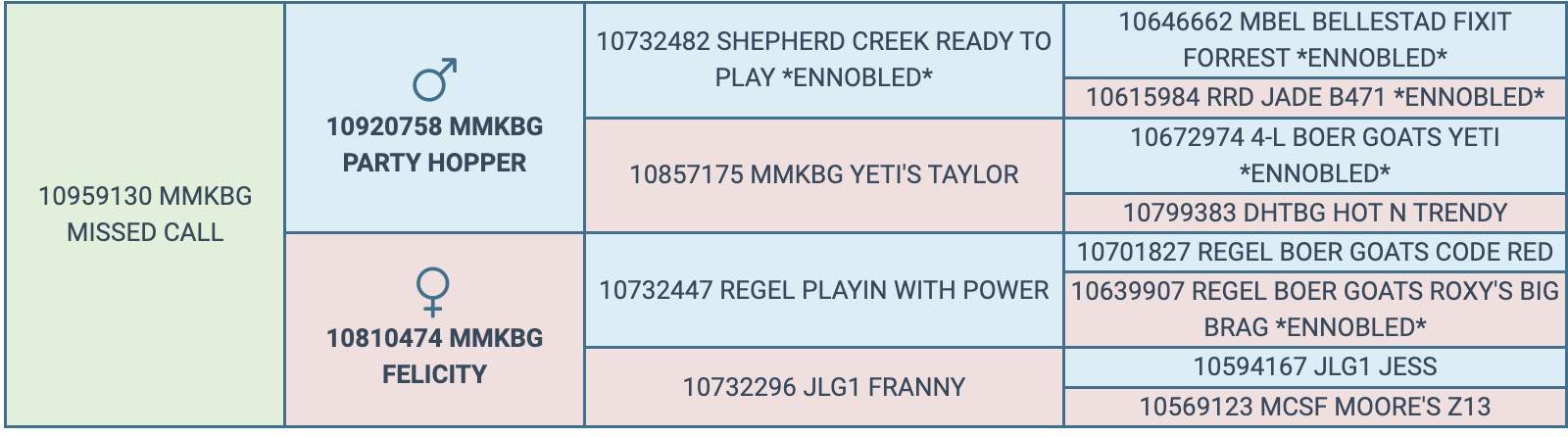 Screenshot 2024-04-02 at 9.45.43 AM