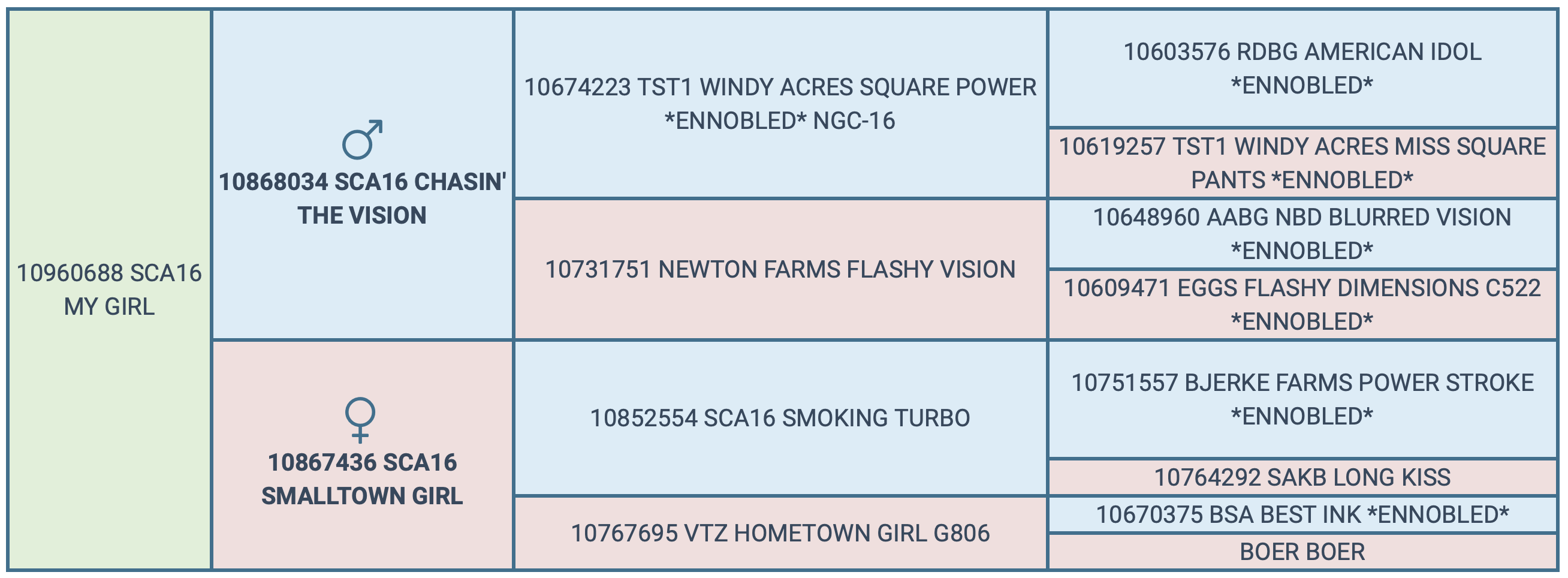 Screenshot 2024-04-05 at 9.01.03 AM