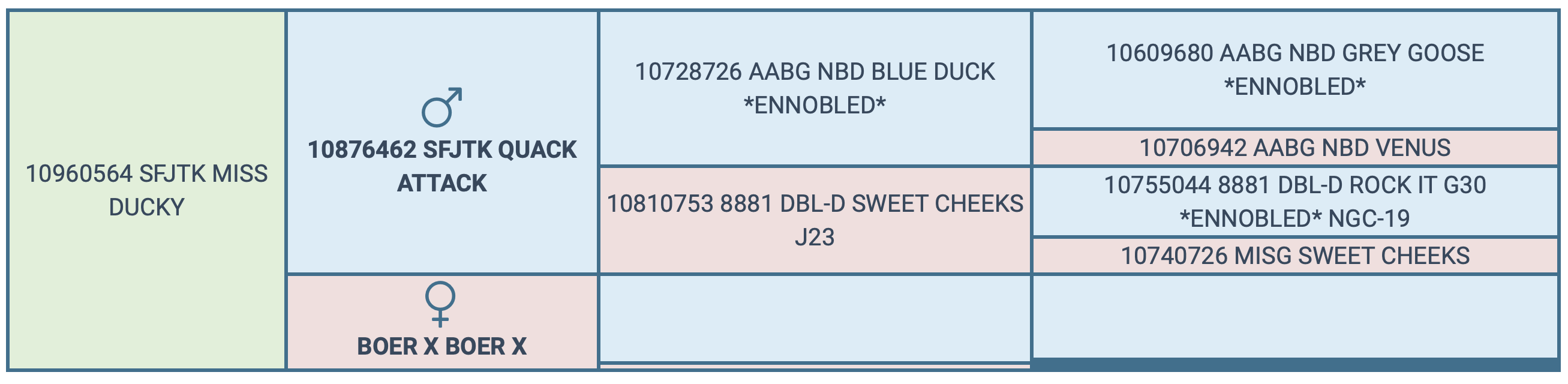 Screenshot 2024-04-06 at 12.24.36 PM