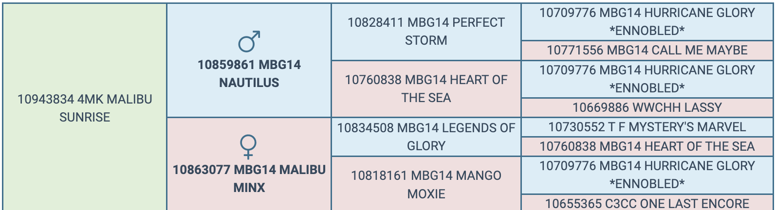 Screenshot 2024-04-08 at 5.44.56 PM