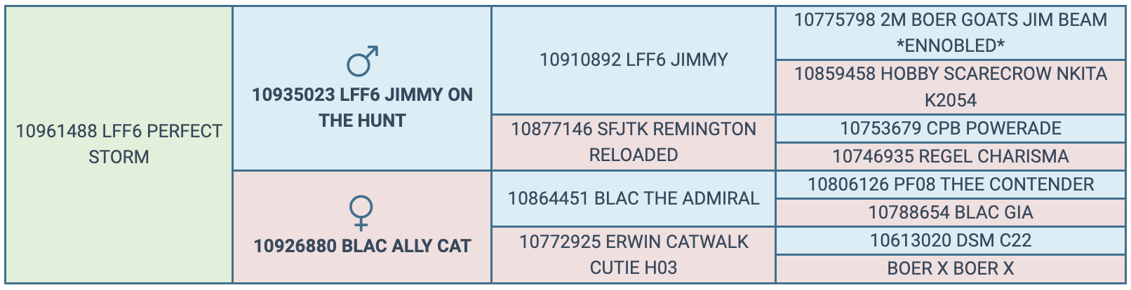 Screenshot 2024-04-11 at 9.44.39 AM