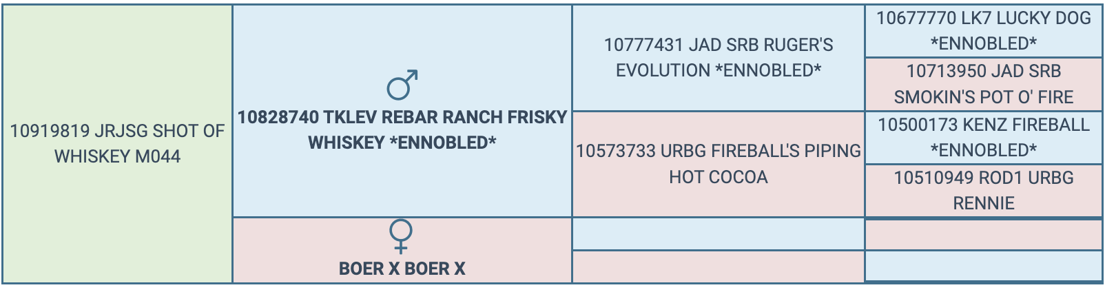 Screenshot 2024-04-12 at 9.04.33 AM