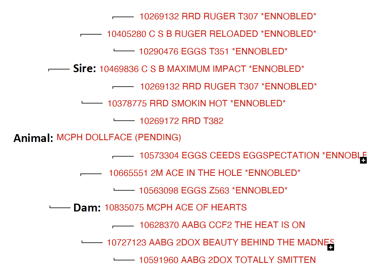 Screenshot 2024-04-14 at 12.06.05 PM