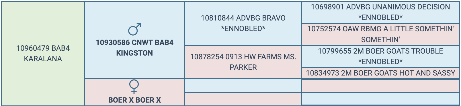 Screenshot 2024-04-16 at 9.59.23 AM