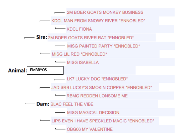 Screenshot 2024-04-20 at 11.08.19 AM