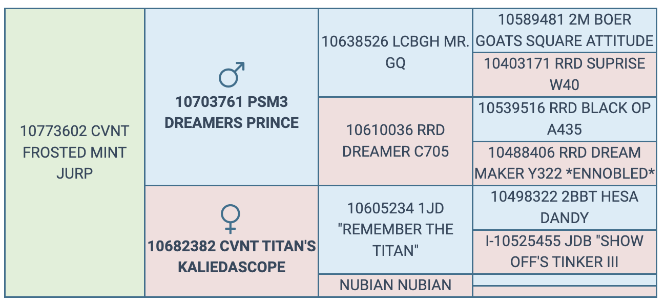 Screenshot 2024-09-06 at 11.32.28 PM