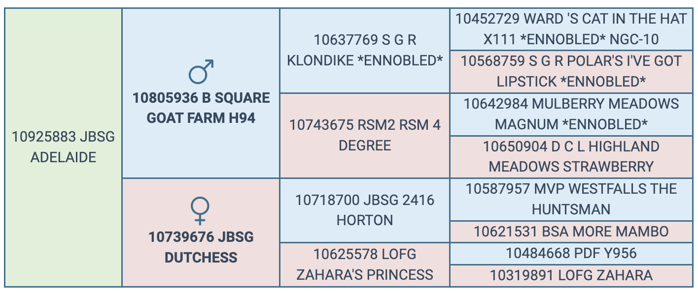 Screenshot 2024-09-06 at 11.34.19 PM