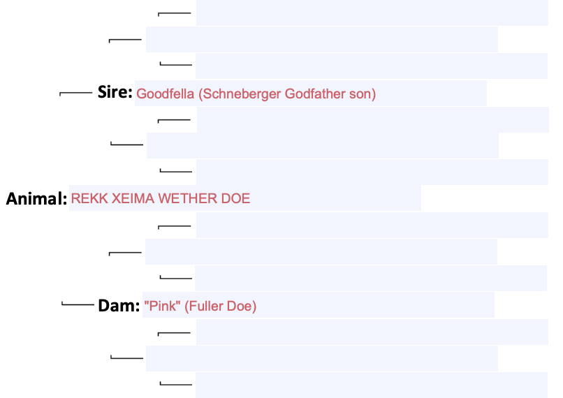 Screenshot 2024-09-06 at 11.36.50 PM