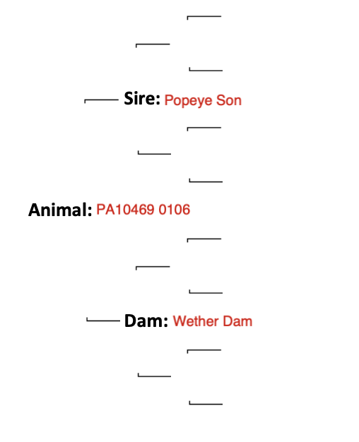 Screenshot 2024-09-07 at 1.14.47 PM