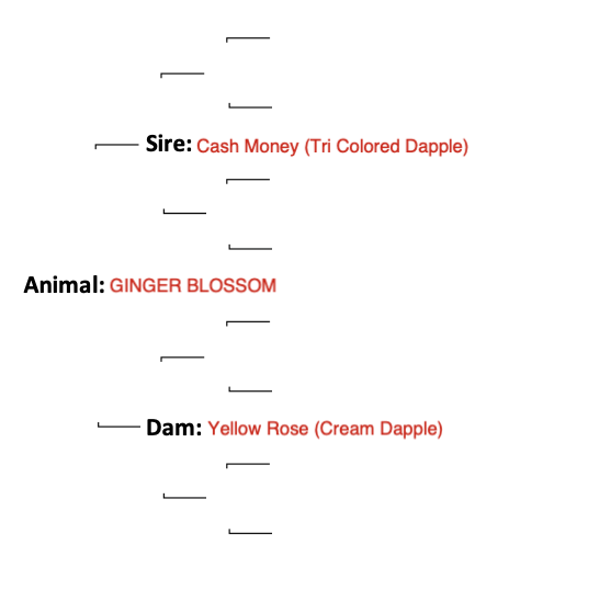 Screenshot 2024-09-07 at 11.18.15 AM