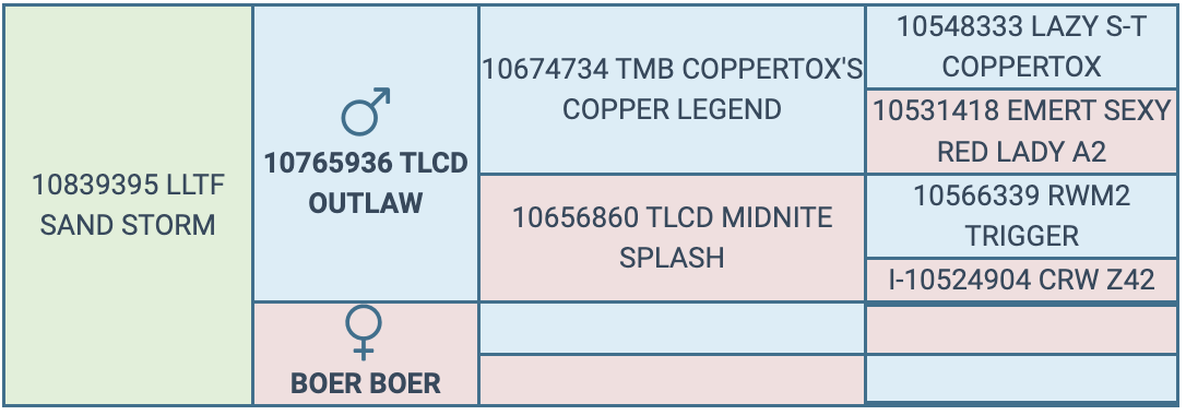 Screenshot 2024-09-07 at 11.35.57 AM