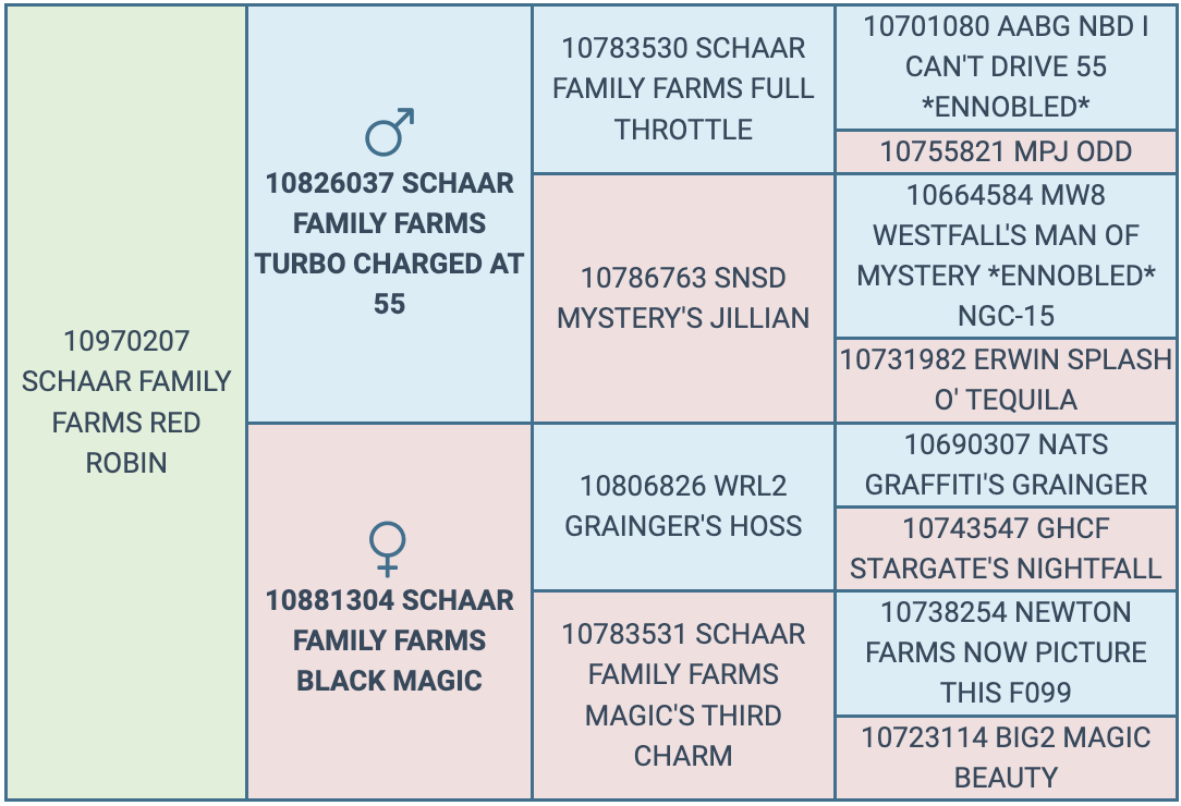 Screenshot 2024-09-07 at 12.10.57 PM