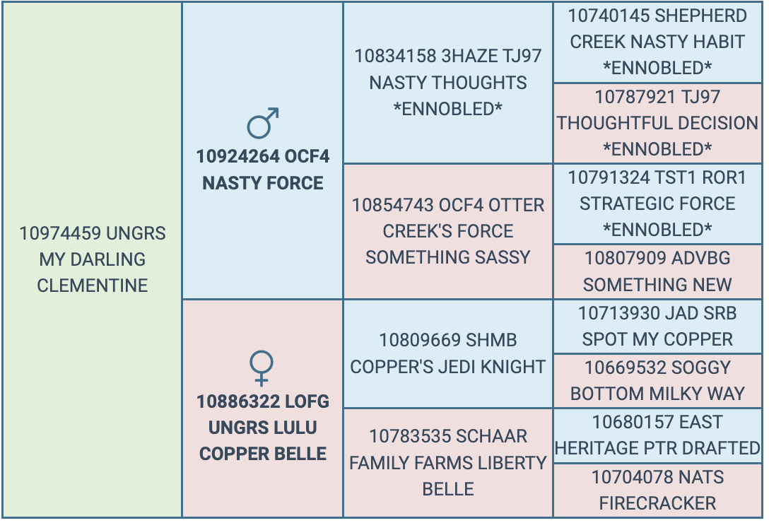 Screenshot 2024-09-07 at 12.26.21 PM