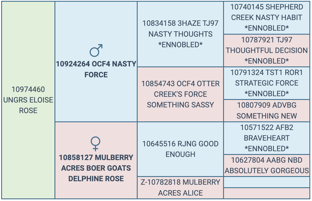 Screenshot 2024-09-07 at 12.32.59 PM