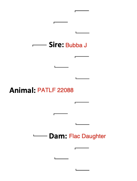Screenshot 2024-09-07 at 12.59.06 PM