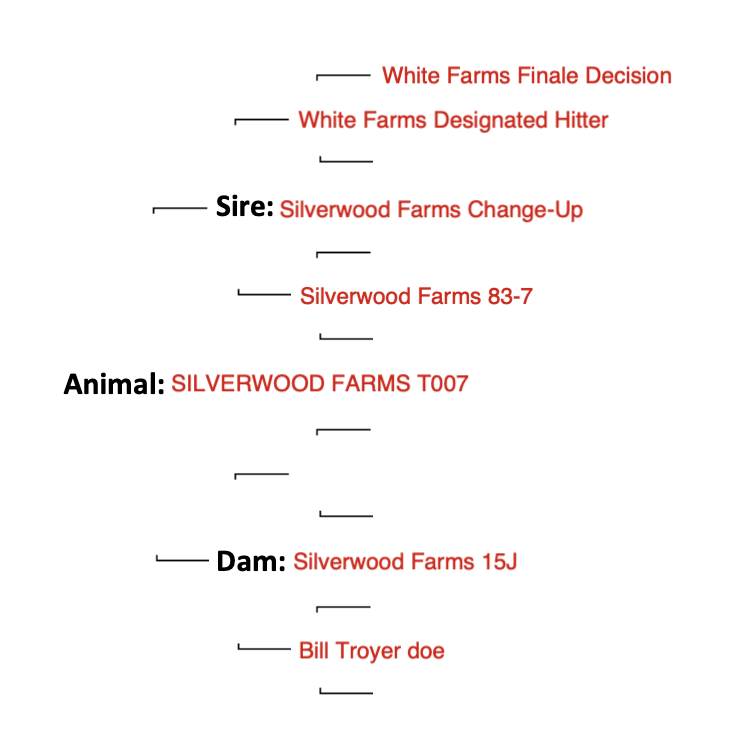 Screenshot 2024-09-11 at 10.34.59 AM
