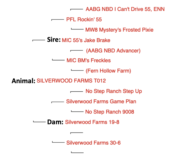 Screenshot 2024-09-11 at 10.51.12 AM