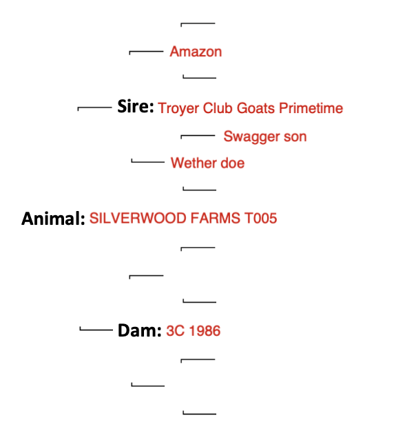 Screenshot 2024-09-11 at 10.54.08 AM