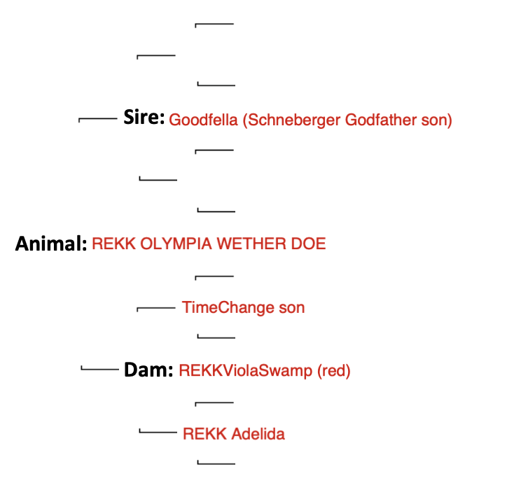 Screenshot 2024-09-13 at 7.27.25 AM